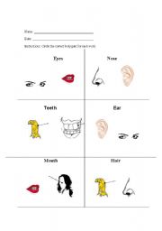 English worksheet: Parts of the face test