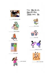 English Worksheet: Use: His, Her, Their, Its