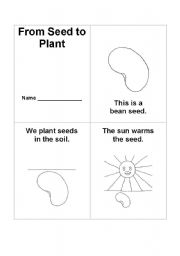 From Seed to Plant Book