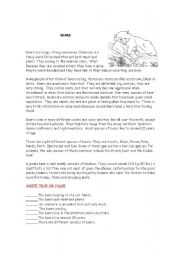 English Worksheet: BEARS