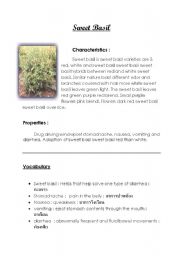 English Worksheet: Herbs