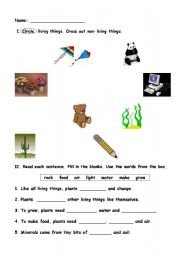 English worksheet: living and non living thing