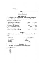 English Worksheet: Living Things Worksheet