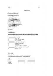 English Worksheet: Possessive adjectives+wh words+Past simple