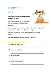 Tommy the cat