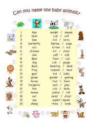 Baby Animals Names 1of 2 Esl Worksheet By Aisha77