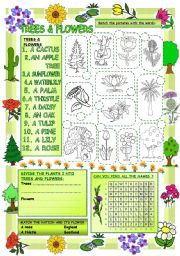 Elementary Vocabulary Series14  Trees and Flowers