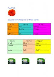 English worksheet: plurals