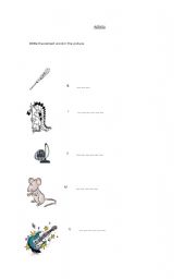 English worksheet: write de name of the picture