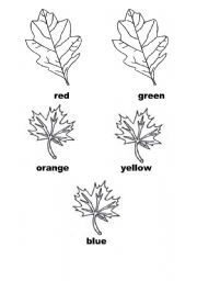 English Worksheet: colors of the leaves