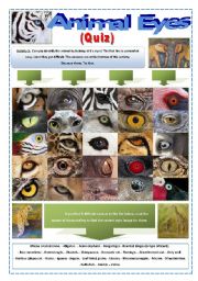 English Worksheet: QUIZ - ANIMAL EYES -  (7 Pages) with an interesting activity with images of EYES of wild animals + Instructions and 5 extra activities to work with them