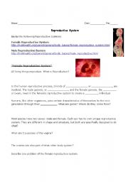 Overview Reproductive System-Interactive