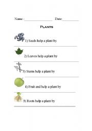 English Worksheet: Plant Parts