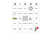 English Worksheet: Spring Bingo