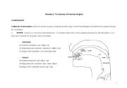 Phonetics Sheet