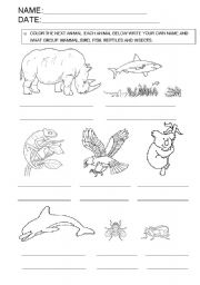 Animal classification worksheets
