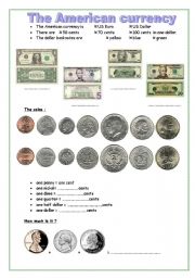 the american currency