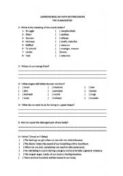 English Worksheet: Parts of our body