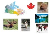 English Worksheet: Canada matching and making a poster