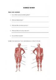 English Worksheet: Science Review