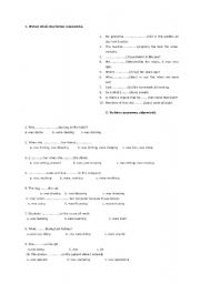 English worksheet: Past Continuous.