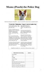 English Worksheet: Momo (Peach) the Police Dog