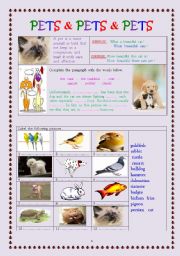 English Worksheet: pets & pets & pets (edited worksheet)
