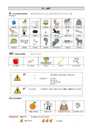 English Worksheet: A or AN?