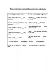 English Worksheet: Possessive adjectives