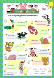 Animal idioms used everyday  - for elementary/ lower intermediate students