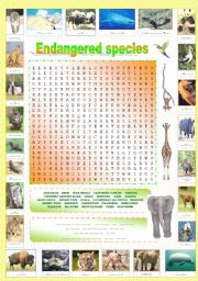 Endangered species (Part 3/5): Original wordsearch containing a hidden message!!!  + Complete the names of the endangered species
