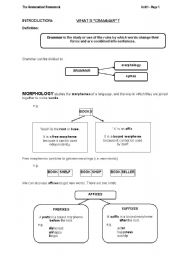 English worksheet: Introduction to Grammar Course