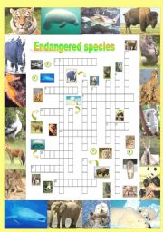 English Worksheet: Endangered species (Part 5/5): Crossword