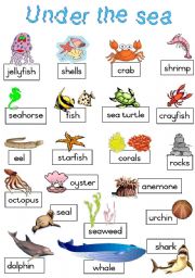 English Worksheet: Under the sea - Poster