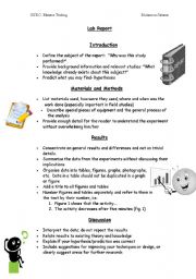 English worksheet: lap report instructions