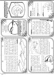 Lets Learn About Dolphins: Elementary Level (mini-book)