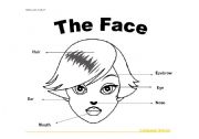 English worksheet: Parts of the face