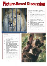 English Worksheet: Picture-Based Discussion (3): Animals