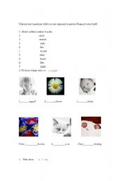 English worksheet: Test fo beginners