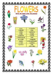 Flowers Esl Worksheet By Myszka