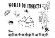 English Worksheet: World of Insects