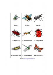 English worksheet: Insect Bingo Board