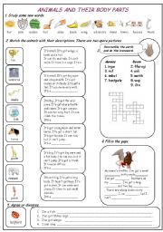 English Worksheet: Animals and their body parts