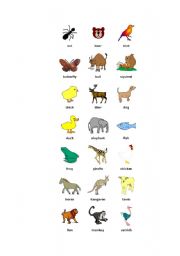 English Worksheet: Animals Picture Dictionary (1st part)