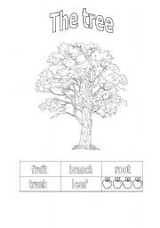 English Worksheet: the tree parts