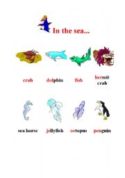 English Worksheet: In the sea