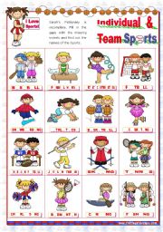 Sports Set  (2)  - Basic Individual and Team Sports Pictionary