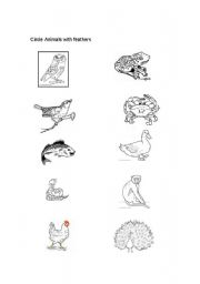 English Worksheet: Animals with feathers