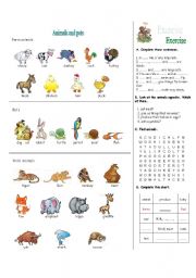 English Worksheet: animals and pets