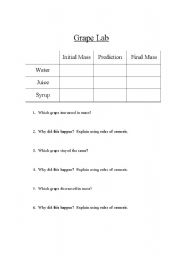 English Worksheet: Grape Lab